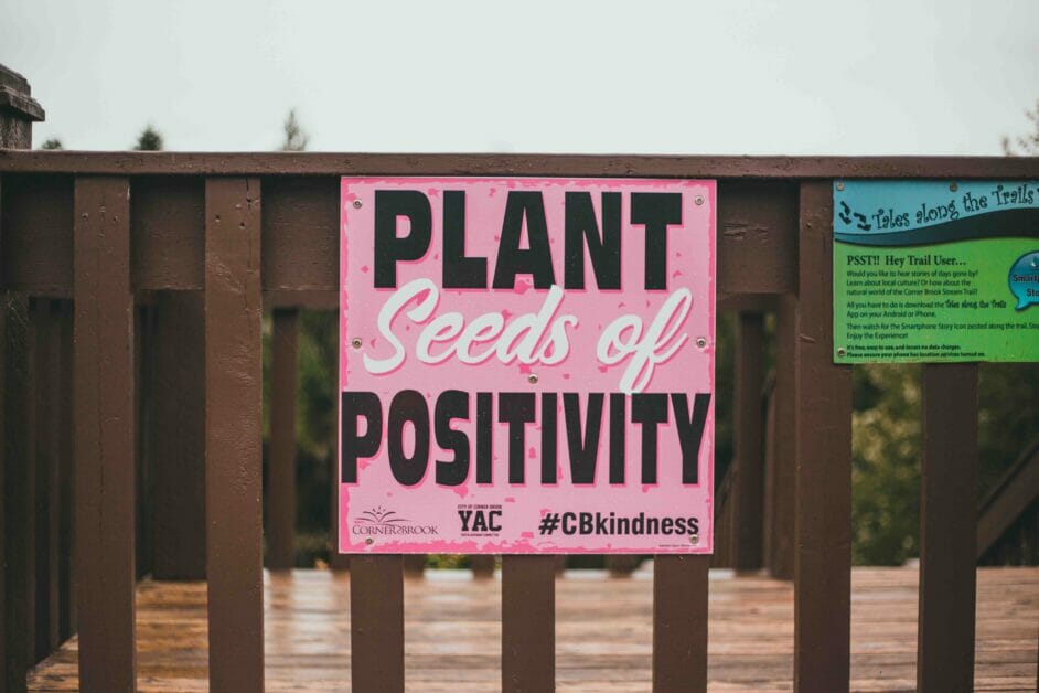 plant seeds of positivity written on a wood gate
